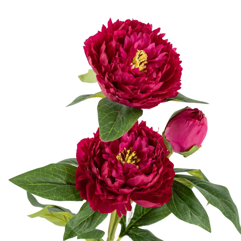 Zijdebloemen