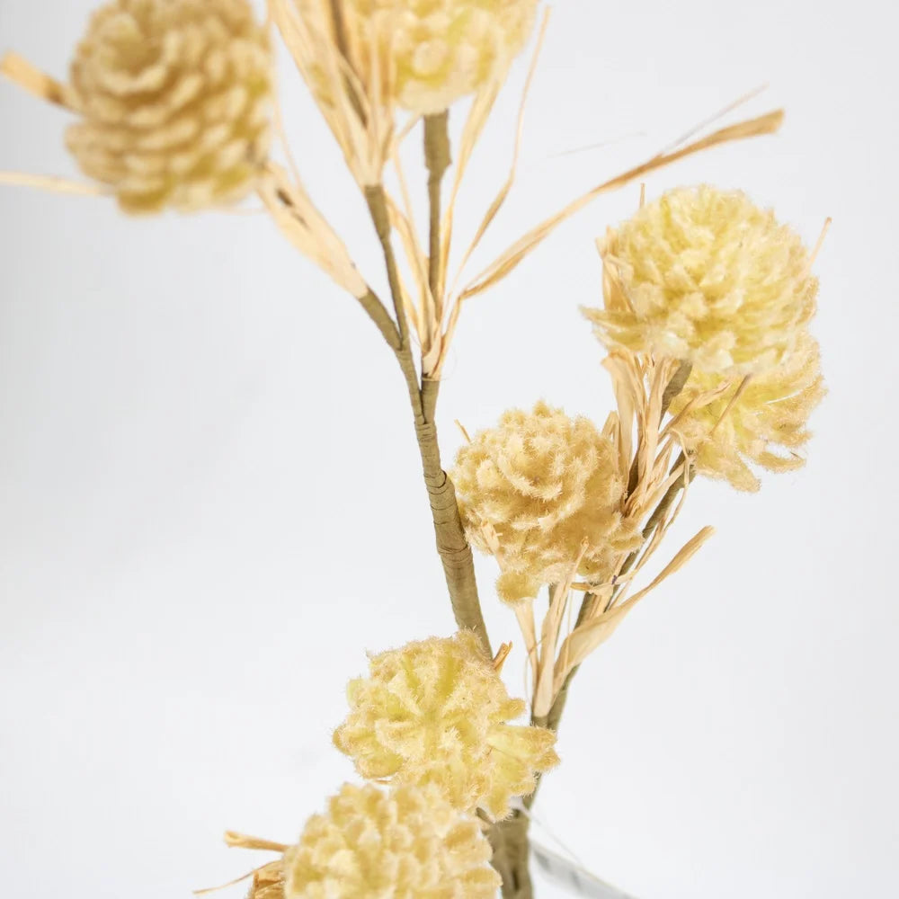 Amarant blossom beige