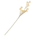 Amarant blossom beige