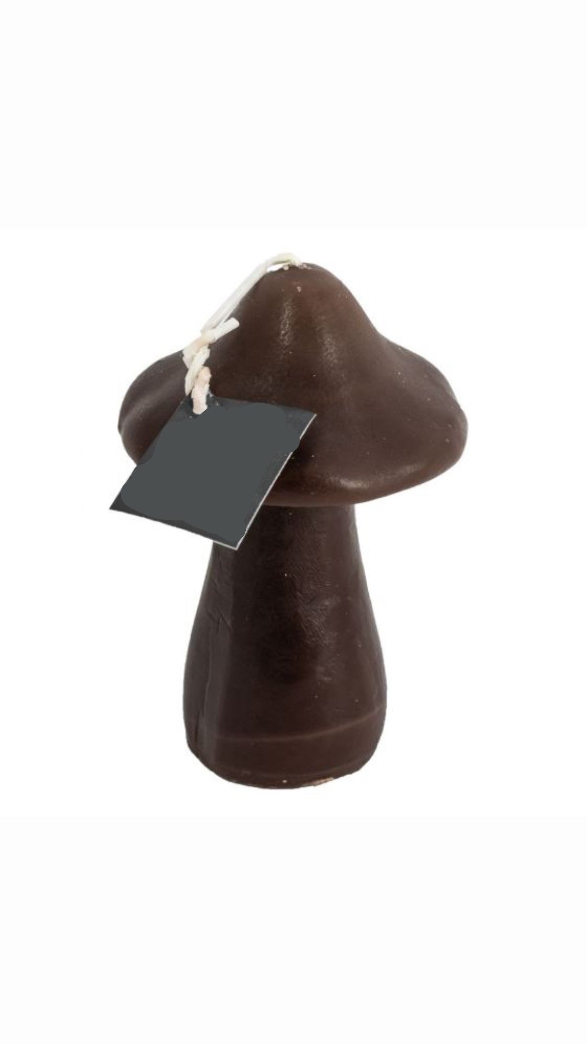Kaars paddestoel bruin